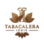 logo-png-transparent